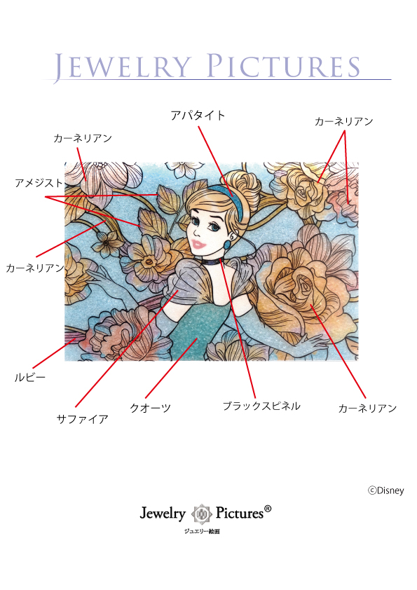 限定品 Disney ディズニー ジュエリー絵画 ジュエリー絵画 ディズニー 『蒸気船ウィリー』